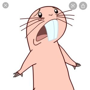 Meet your Posher, Malik